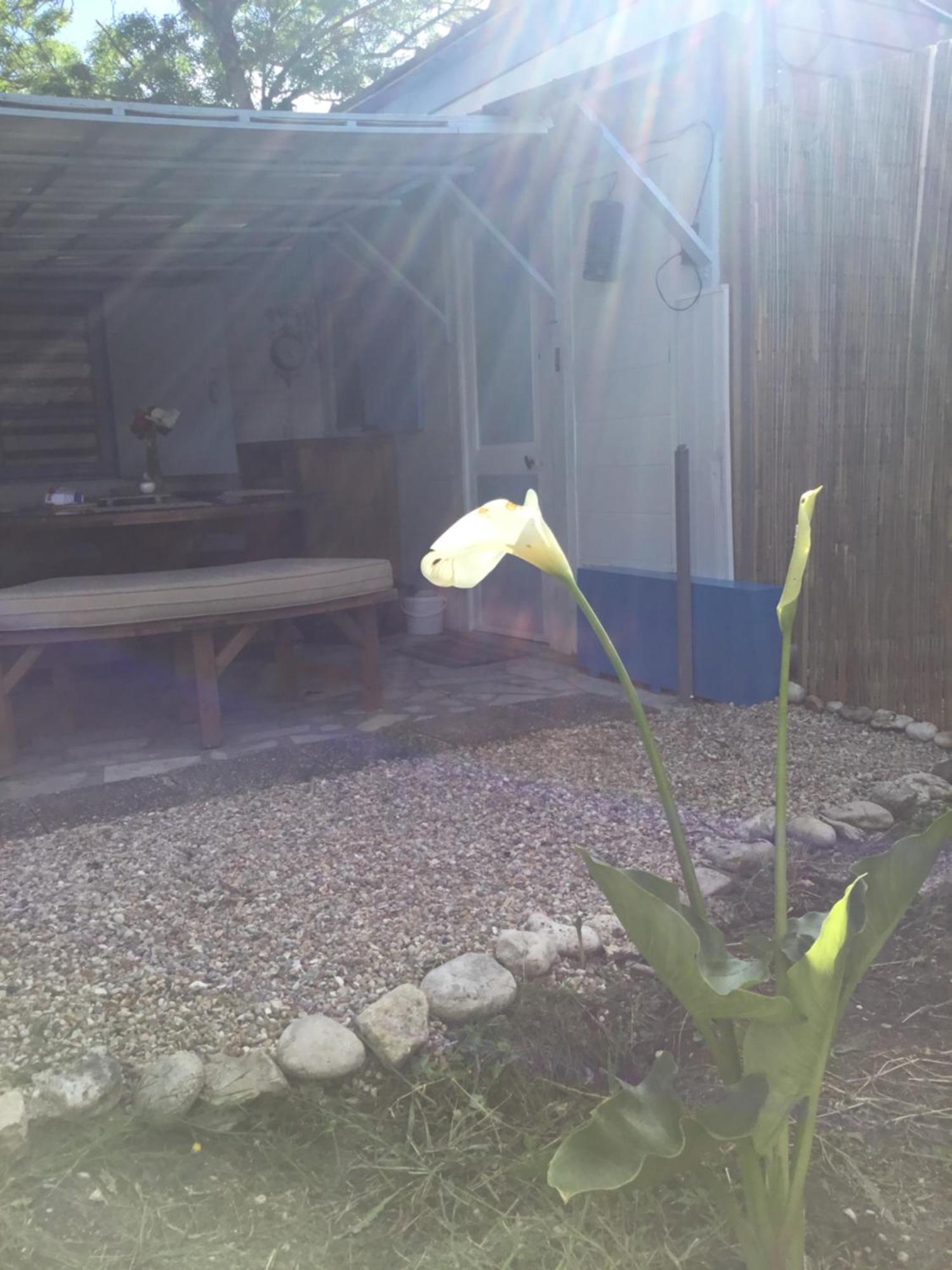 La cabane Oléronnaise Saint-Georges-d'Oleron Extérieur photo
